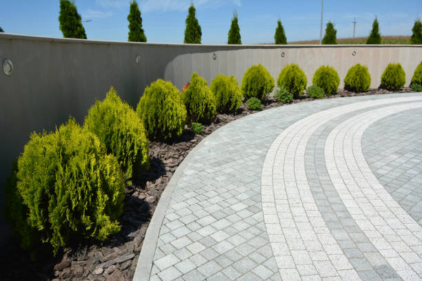 Best Driveway Resurfacing Pavers  in Hugo, MN